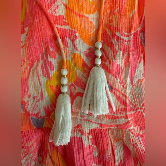 Lilly Pulitzer dress - Picture 5 of 5